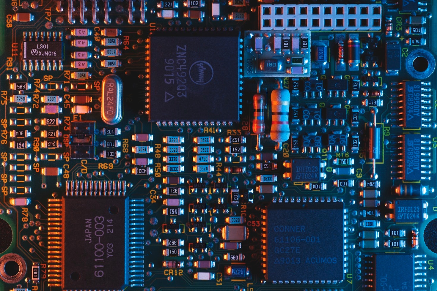 The Rise of Wearable Technology: What to Expect