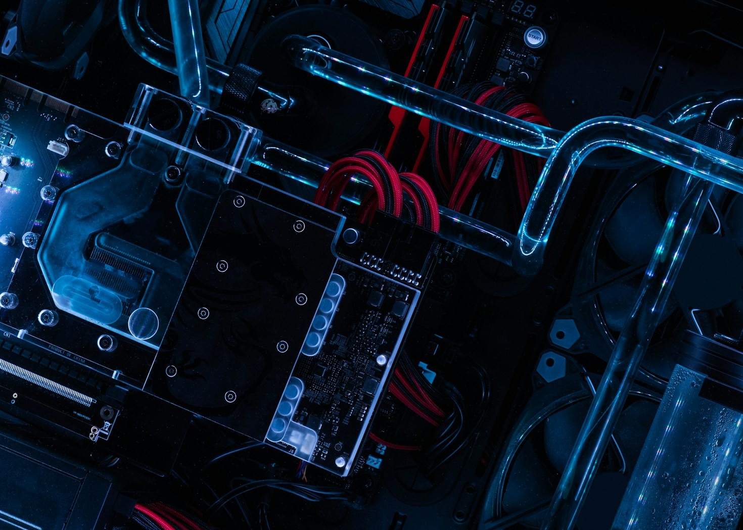 Cybersecurity in 2024: What You Need to Know